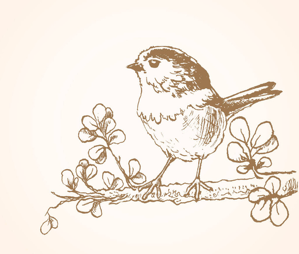 Little bird sitting on twig hand drawn sketch vector illustration - Vektor, kép