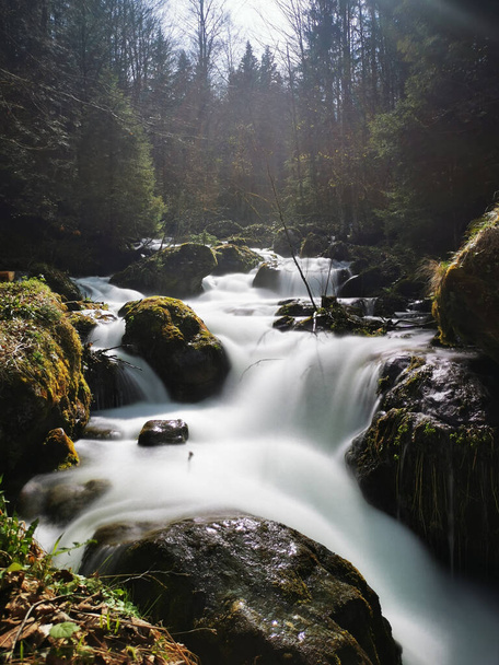 A cascade of the rushing river in a green forest - Фото, зображення