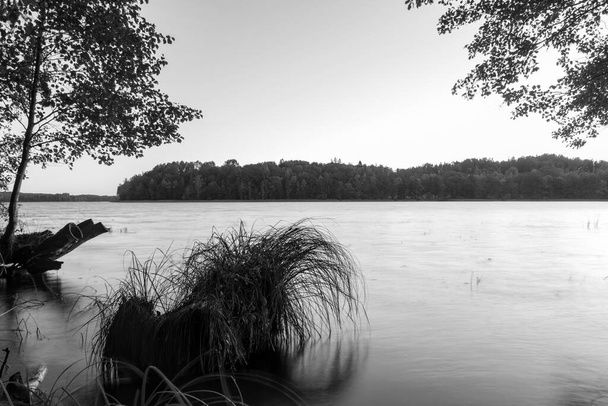 paysage avec bord de lac tôt le matin, branches d'arbres, herbe et roseaux, exposition à long terme, eau inondée, période automnale dans la nature - Photo, image