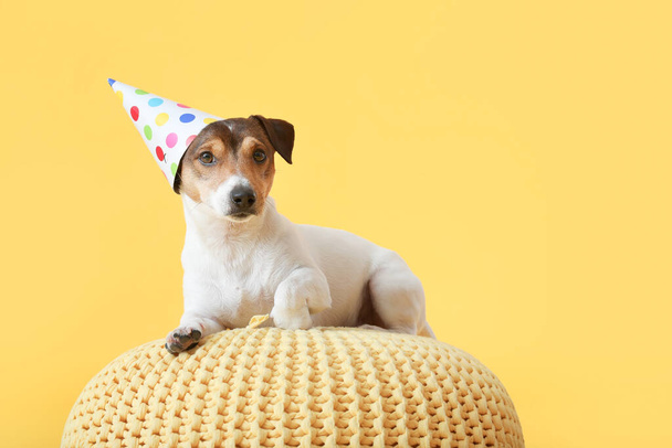 Parti şapkası takmış sevimli bir köpek. - Fotoğraf, Görsel