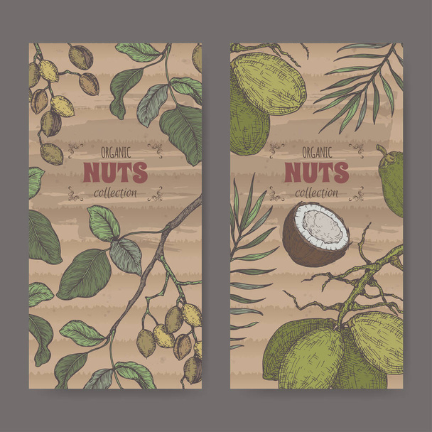 Set of two labels with pistacia vera aka pistachio and Cocos nucifera aka coconut tree branch and nuts color sketch. - Vektor, obrázek