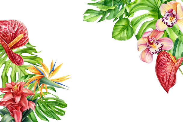 Tasarımınız, kartınız ya da düğün davetiyeniz için arkaplanda tropik yapraklar ve çiçekler suluboya, botanik resim - Fotoğraf, Görsel