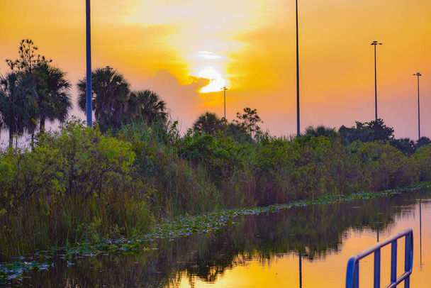 Spiegelungen eines Sumpfes Sonnenaufgang auf der Anklagebank - Foto, Bild