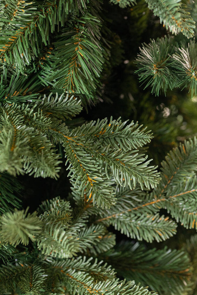 branches of a Christmas tree  - Фото, зображення