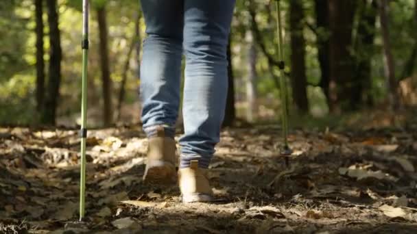 LOW ANGLE: Tuntematon istuvuus vanhempi mies vaeltaa pitkin tyhjää metsäpolkua. - Materiaali, video