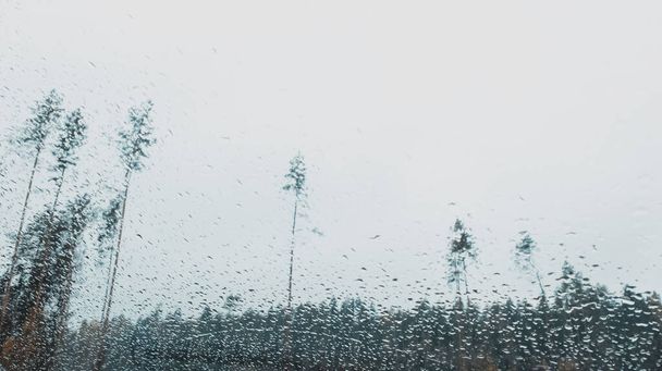 Βροχή στο δάσος και γκρι φόντο του ουρανού. Σταγόνες βροχής σε βρεγμένο παράθυρο την συννεφιασμένη μέρα. Βροχερό φθινοπωρινό τοπίο θολό. Δραματική σκηνή. Κακός καιρός - Φωτογραφία, εικόνα