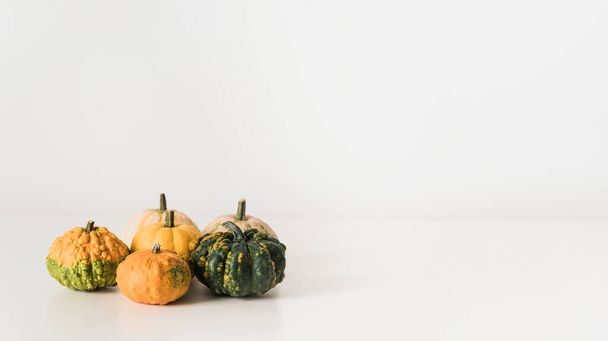 Colorful pumpkins on white desk background with copy space, mock up. Fall and autumn harvest minimalism concept. - Фото, изображение