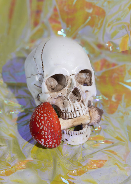 Fly agaric poisonous mushrooms in the jaw of the skull. Amanita microdosing is the consumption of dried mushrooms in a literally microscopic dosage. - Photo, Image