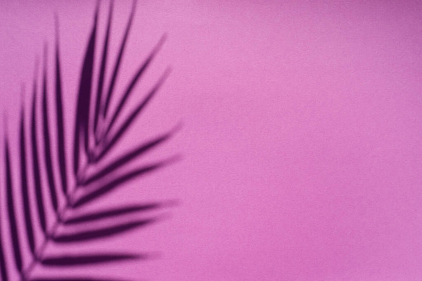 Тенденция в натуральных материалах с тенью пальмовых листьев на фиолетовом фоне. - Фото, изображение