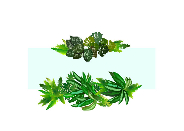 Tropické zelené listy listí rostlina keř květinové aranžmá příroda dispozice pozadí jako okraj a rám s světle modrou kopií prostoru na bílém pozadí. - Vektor, obrázek