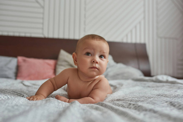 Tranquil little baby boy lying on tummy in bed - Fotografie, Obrázek