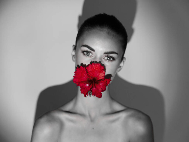 女性化粧品赤い花のクローズアップ影を背景に - 写真・画像