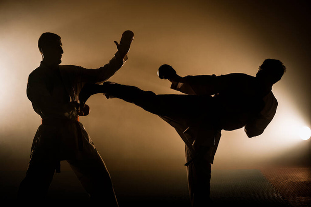 Muotokuva valkoihoinen ammatillinen taekwondo musta vyö aste (Dan) suorittaa potkia - Valokuva, kuva