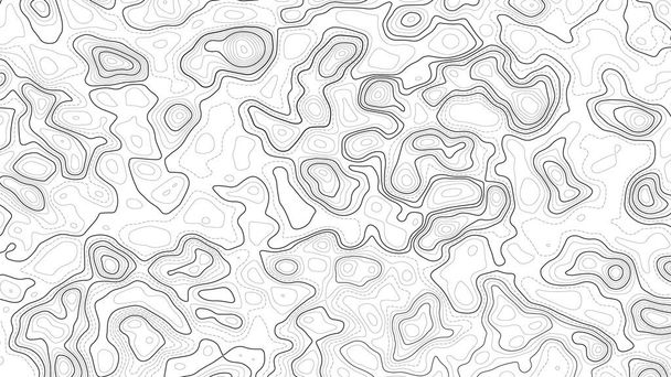 Topographic map background. Geographic line map with elevation assignments. Contour background geographic grid. Vector illustration. - Vector, Image