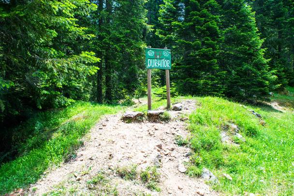 Підпиши напис "Durmitor" на тлі хвойних лісів, розташованих недалеко від дороги до Чорного озера, однієї з головних пам'яток національного парку Дурмітор. Чорногорія. - Фото, зображення