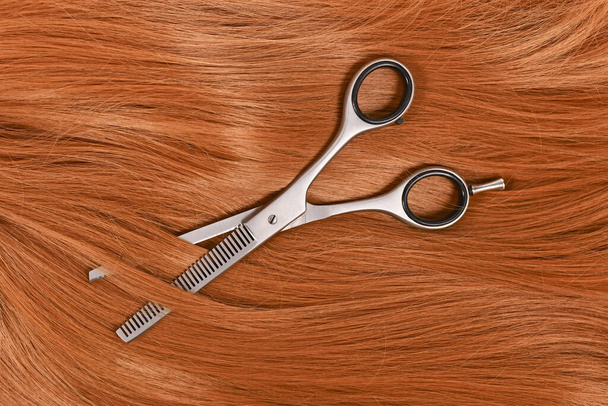 Koncepcja strzyżenia z błyszczącymi włosami i cienkimi nożycami - Zdjęcie, obraz