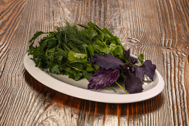 Plate with fresh basil, dill, parsley and cilantro - Photo, Image