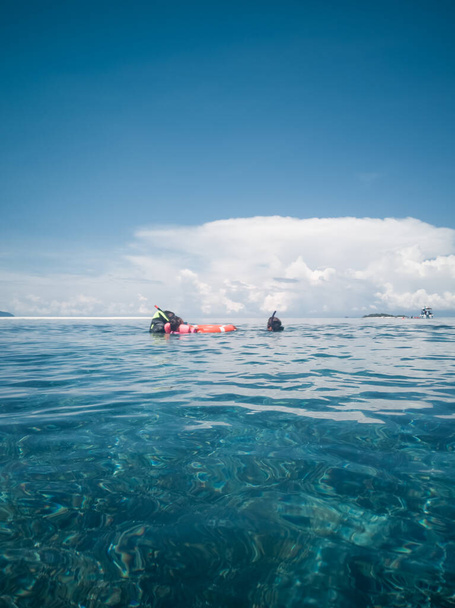 Люди в маске подводного плавания ныряют под воду с тропическими рыбами в бассейне кораллового рифа. Путешествия образ жизни, водные виды спорта, приключения на свежем воздухе, купание семьи летний пляжный отдых с детьми - Фото, изображение