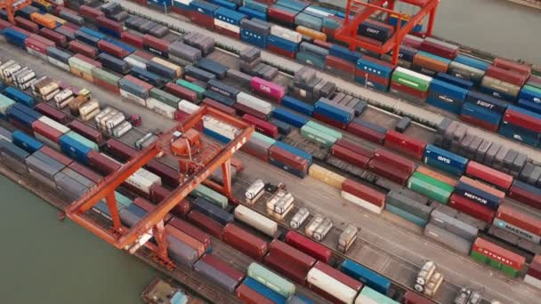 Conteneurs et ports maritimes, commerce et logistique. - Séquence, vidéo