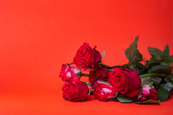 μπουκέτο λουλούδια σε κόκκινο φόντο. κόκκινα τριαντάφυλλα. - Φωτογραφία, εικόνα