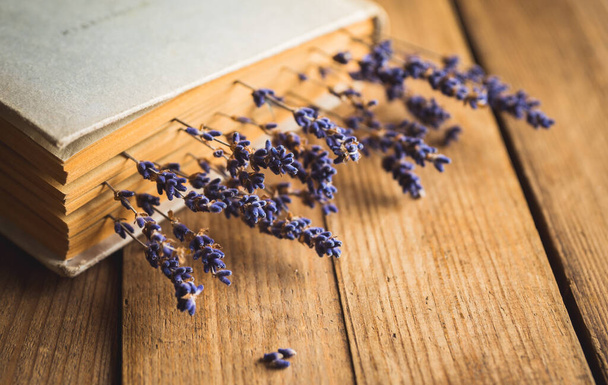 Dried lavender flowers as a bookmark in vintage looked book. Macro shot. Selective focus. Very shallow depth of field. - Foto, Bild