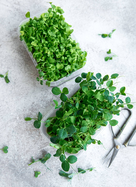 Assortment of micro greens on wooden table. Healthy lifestyle - Photo, Image