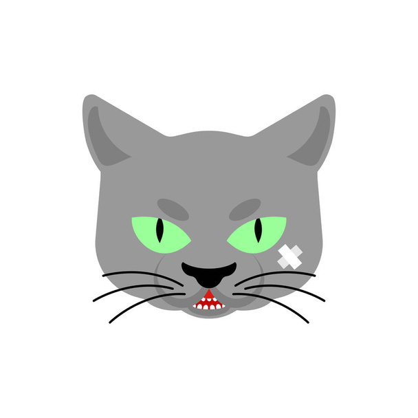 Cat Gangsta face. Angry pet muzzle. Animal bully member of gang of street criminals - Vector, Image
