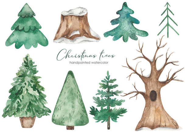 Árvores de Natal, abetos, carvalho sob a neve, toco de árvore Conjunto de aquarela  - Foto, Imagem