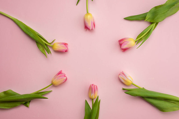 Весенняя концепция, День матери. Плоские цветы на розовом фоне. Вид сверху с пространством для вашего текста. - Фото, изображение