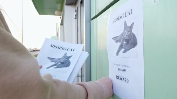 Właściciel w kapturze wiesza plakaty zaginionego kota na budynku - Materiał filmowy, wideo
