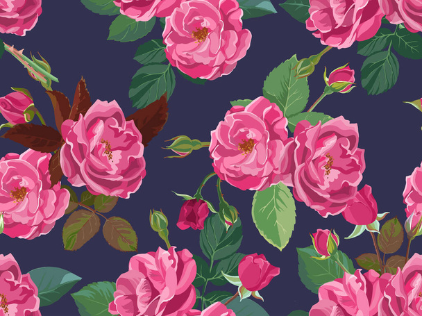 Flourishing pink roses, spring and summer flowering foliage and flowers. Romantic background or print, feminine wrapping with botany ornaments and decoration. Vector in flat style illustration - Vetor, Imagem