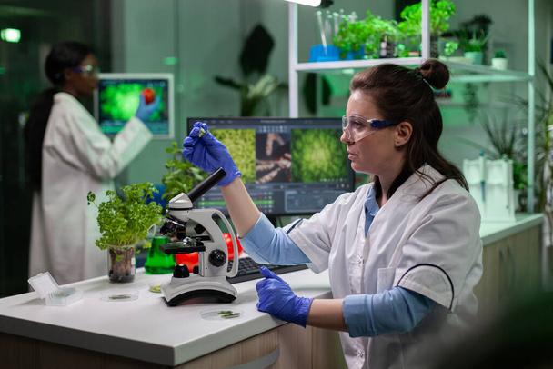 Investigador bioquímico sosteniendo muestra de hoja gmo analizando plantas genéticamente modificadas - Foto, Imagen