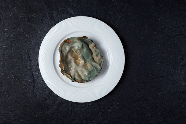Terrible expired food covered with mold on white plate, top view. Dark background made of natural stone, copy space. Concept - reduction organic food waste. - Photo, image