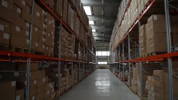 Flucht zwischen Regalen voller Kisten in Lagerhalle - Filmmaterial, Video