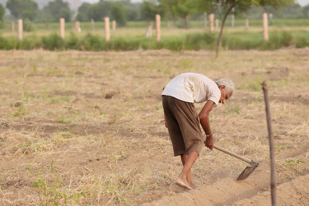 インド原産の農家のクローズアップは、フィールド内の作物の灌漑のためにフィールドに行くために水のための泥の生の排水を作るためにシャベルを使用しています - 写真・画像