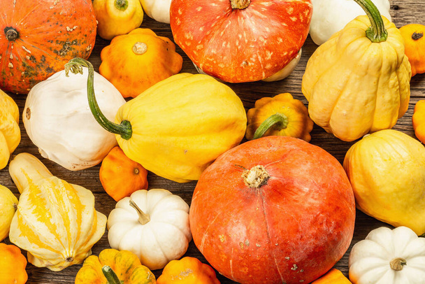 Harvest of various ripe pumpkins. Colorful festive background, Thanksgiving or Halloween Day. Old wooden boards background - Foto, Imagem