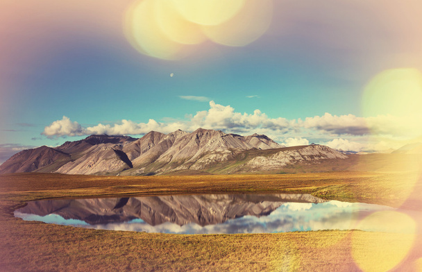 Tundra na Alasce - Zdjęcie, obraz