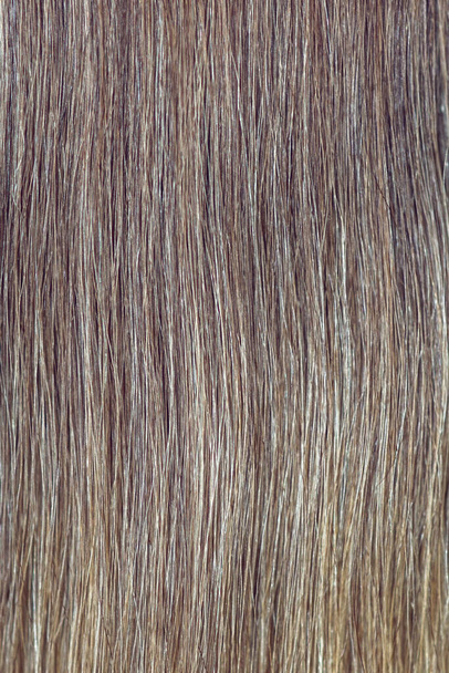 Brown hair close up for background. A lock of brown hair. - Photo, Image