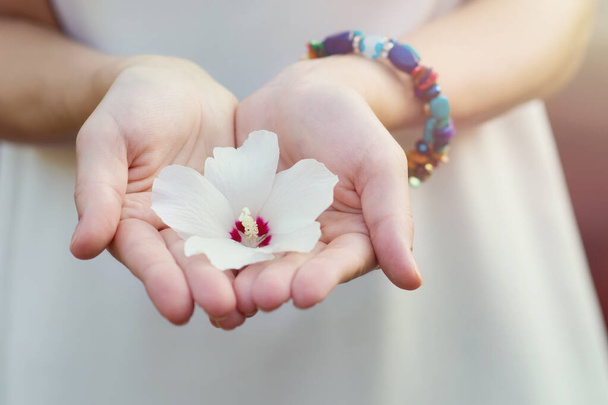 The girl holds a white flower in her open palms. A symbol of tenderness, femininity, chastity. Hands with a flower close-up. Place for text - Фото, зображення