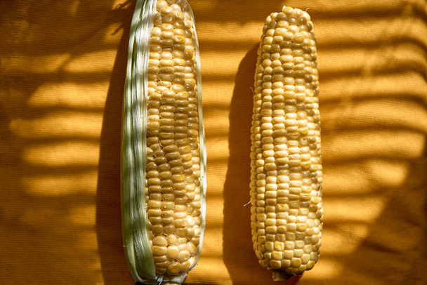 Здоровые закуски и питание концепции. Кукуруза под модными тенями. 2 колосьев кукурузы, один шелушится, другой очищен. Будь другим понятием. Творческая фотография еды. Высокое качество фото - Фото, изображение