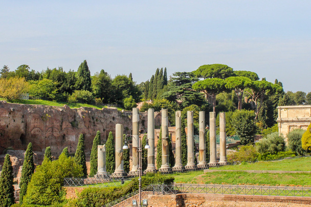 Ruinas en el Foro de Roma, Italia
 - Foto, imagen