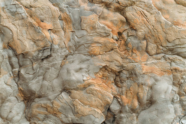 Гранулярная поверхность известняка. Каменная поверхность косули. Известняковая текстура скалы. Лицо косули из камня. Настольный рисунок известняка - Фото, изображение