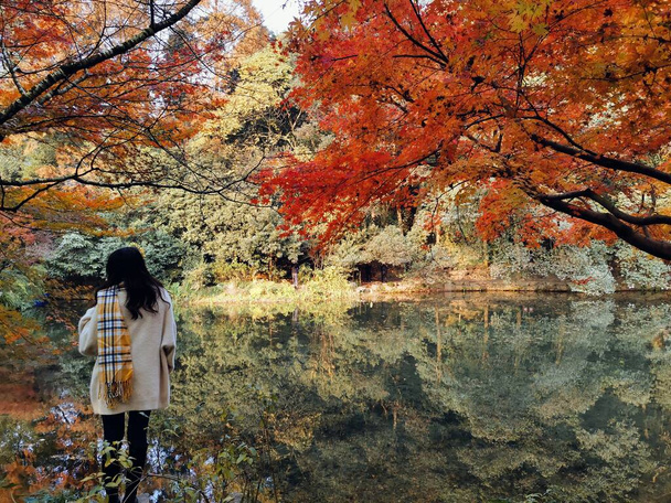autumn in the park - Foto, afbeelding