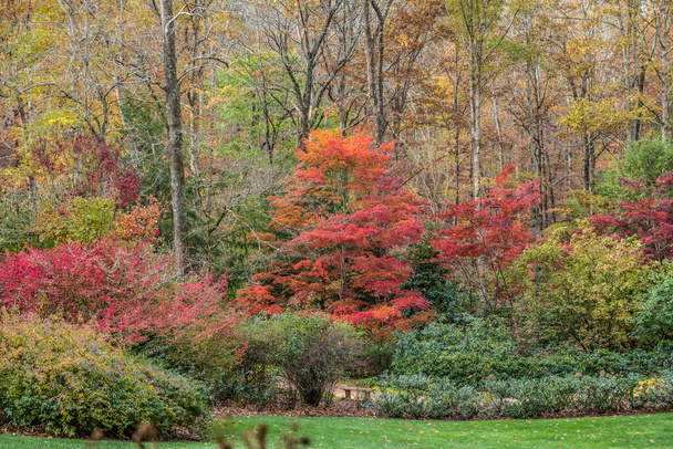 Beau paysage d'automne dans le parc avec un banc assis le long de la vue sur le sentier d'en haut sur une colline - Photo, image