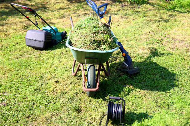 Сезонный сад работает. Зеленая тачка с травой, электрическая газонокосилка на заднем дворе.  - Фото, изображение
