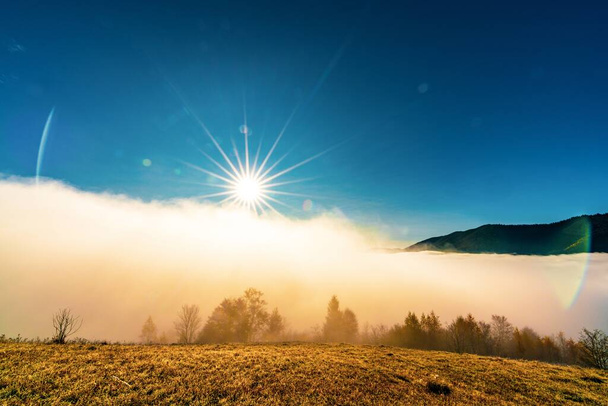Autumn early morning and frozen dry grass covered with white fog under the bright cold sun - Foto, immagini