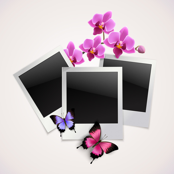 Mariposas marcos de fotos
 - Vector, imagen