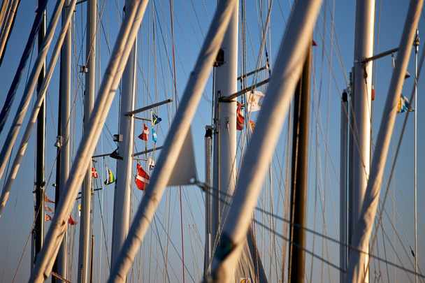 mastros de barcos à vela na marina
 - Foto, Imagem