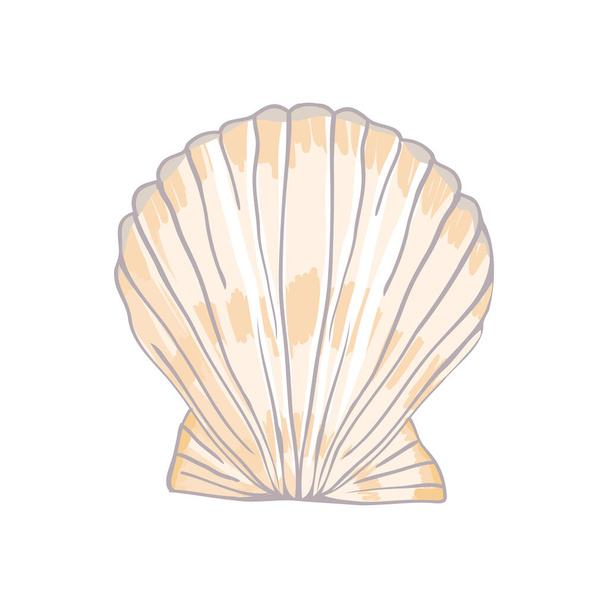 Cute sea shell on a white background Vector illustration, hand-drawn. - Вектор,изображение