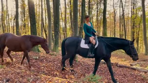 Giovane cavallerizza femminile sta esplorando i boschi cambiando i colori in autunno. - Filmati, video